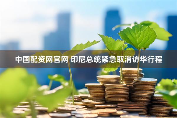 中国配资网官网 印尼总统紧急取消访华行程