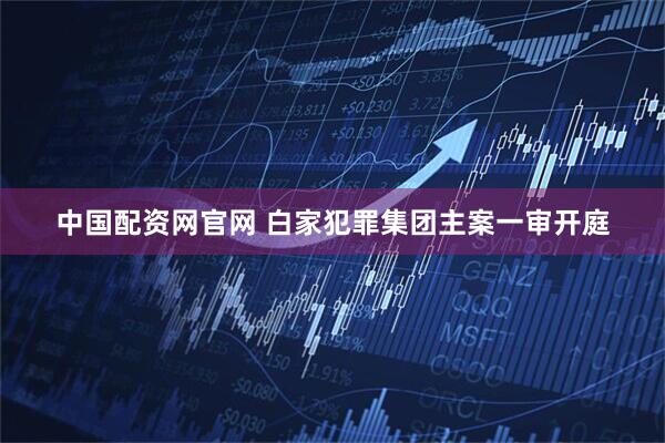 中国配资网官网 白家犯罪集团主案一审开庭