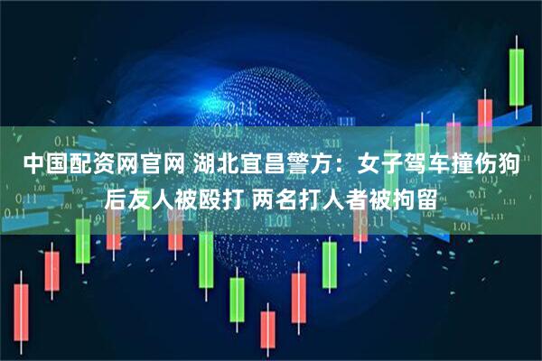 中国配资网官网 湖北宜昌警方：女子驾车撞伤狗后友人被殴打 两名打人者被拘留