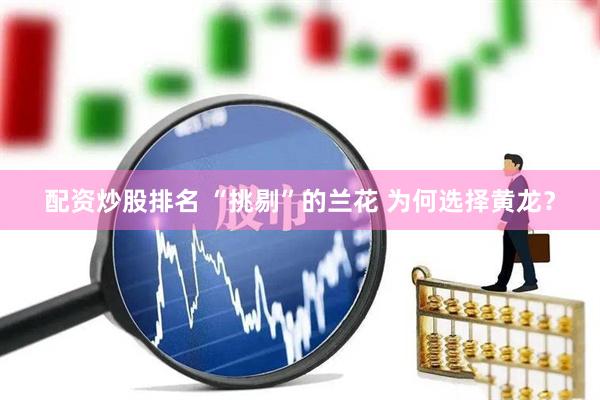 配资炒股排名 “挑剔”的兰花 为何选择黄龙？