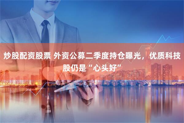 炒股配资股票 外资公募二季度持仓曝光，优质科技股仍是“心头好”